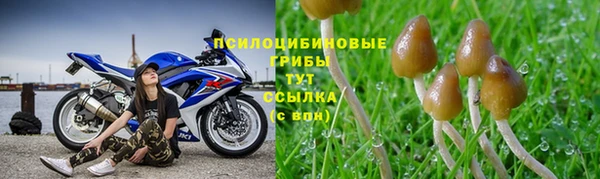 экстази Семёнов